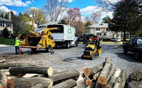 Best Aeration Services  in Pierz, MN